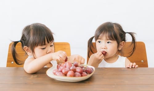 食べる力＝生きる力